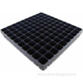 100 cell injection vegetable seed tray
